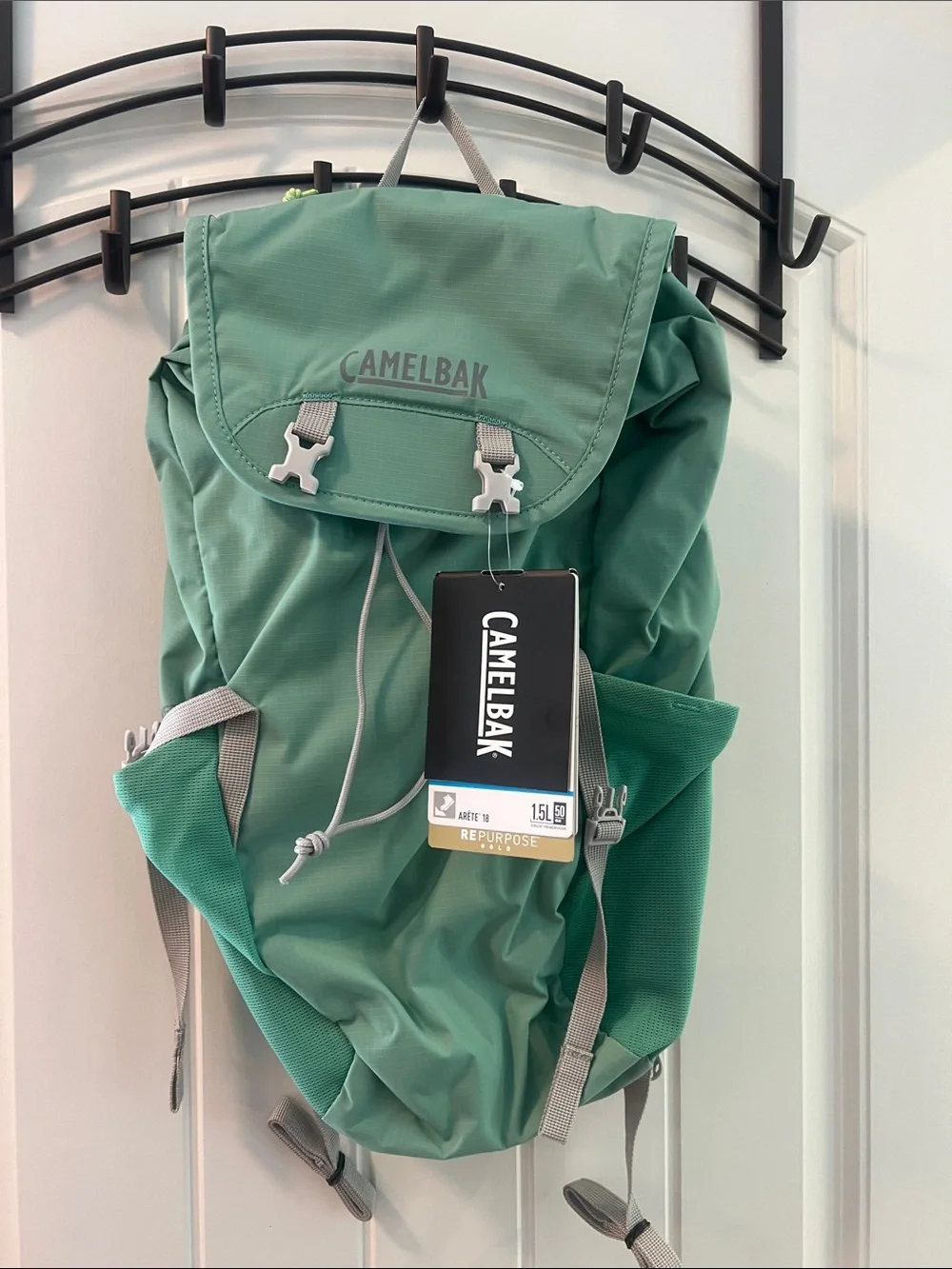 CamelBak Sage Green Daypack Backpack
